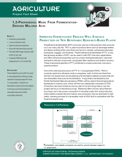 Download PDF