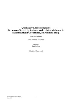 Qualitative assessment of persons affected by torture and related violence in Suleimaniyah Governate, Kurdistan, Iraq