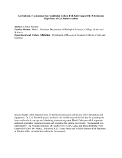 Download PDF