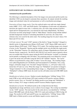 Supplementary Material