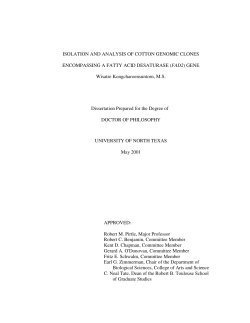 Download PDF