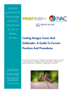 Costing Dengue Cases and Outbreaks: A Guide to Current Practices and Procedures