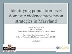 Identifying Population-Level Domestic Violence Prevention Strategies for the State of Maryland