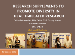 Diversity Supplement