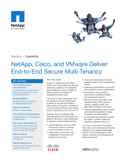 Secure Multi-Tenancy Brief