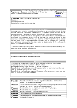 Optativa II: Criminalidad: Delincuencia Juvenil y Bandas