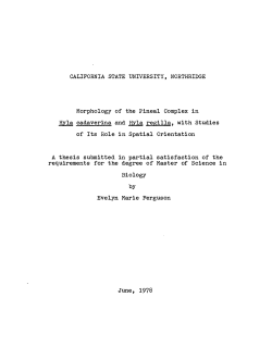 FergusonEvelyn1978