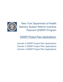 DSRIP Project Plan Applications (Domain 2, 3, 4)