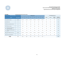 DSRIP Application Prototype-Independent Assessor's Scoring