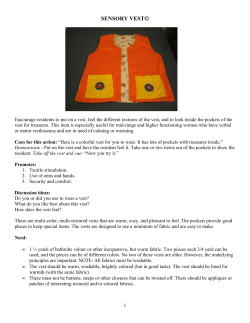 Sensory Vest