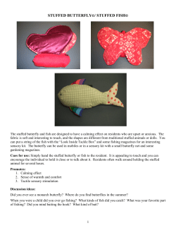 Stuffed Butterfly and Stuffed Fish