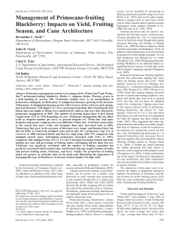 impacts on yield, Fruiting season, and cane architecture