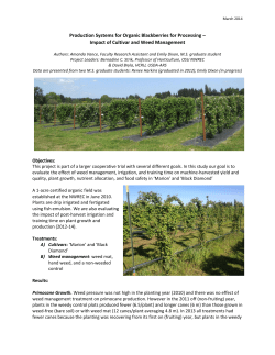 Production systems for organic blackberries for processing--Impact of cultivar and weed management