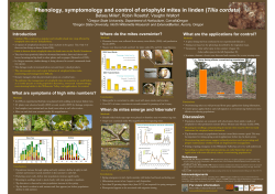 Phenology, Symptomology and Control of Eriophyid Mites in Linden (Tilia cordata)