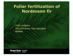 Foliar Fertility in Conifers