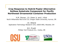 Alternative Soilless Substrates: Whole Tree Poplar and Beyond