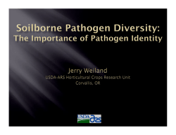 Soilborne Pathogen Diversity: The Importance of Pathogen Identity