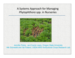 A Systems Approach for Managing Phytophthora spp. in Nurseries