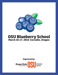 Options for managing damage