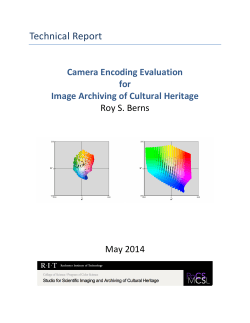 download report