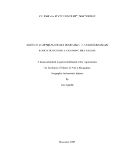 Aguilar Luis thesis 2016