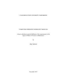 Hubbard Mike thesis 2016