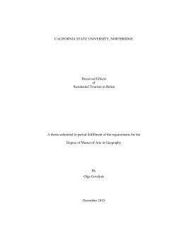 Govdyak Olga thesis 2016