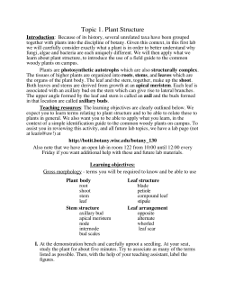 Download a pdf copy of Topic 1