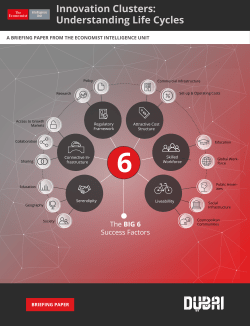 Innovation Clusters: Understanding Life Cycles