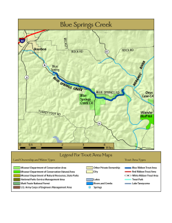 Blue Springs Creek Map