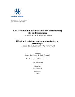Severinsson_Tengvard_c-uppsats2007.pdf