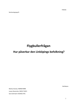 Bullerfr&aring;gan.pdf