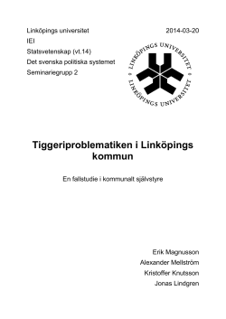 Grupparbete Tiggeriproblematiken.pdf