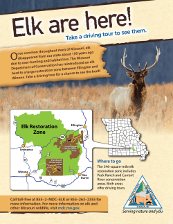 Elk Tour Map