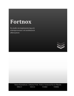 F&auml;rdig rapport Grupp 4.pdf