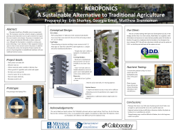 Aeroponics: A Sustainable Alternative to Traditional Agriculture