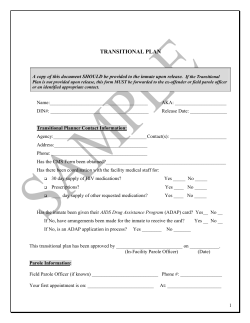 Transitional Plan Form