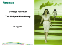 http://​www.​cepi.​org/​system/​files/​public/​epw-presentations/​2009/​epw09_​3_​biorefinery_​domsjo%20​fabriker_​o%20​hildingsson.​pdf