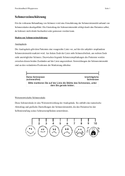 Schmerzeinsch tzung.pdf