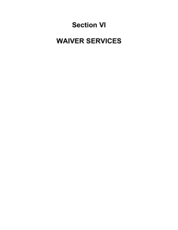 "Section VI: Waiver Services" is also available in Portable Document Format.