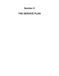 "Section V: The Service Plan" is also available in Portable Document Format.