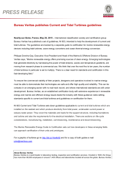 Current Tidal Turbines Guidelines PR.pdf