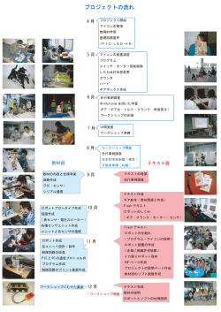 poster07_process.pdf