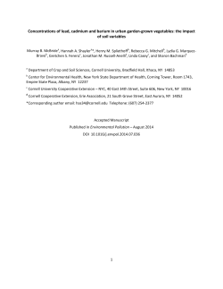 Portable Document Format