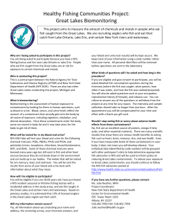 Information Sheet