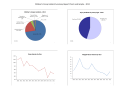 2012 Children's Camp Incident Summary Data