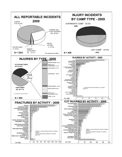 2009 Incident Summary Report Graphs