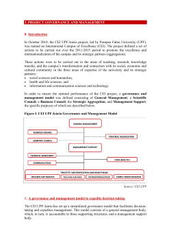 management and governance model implemented
