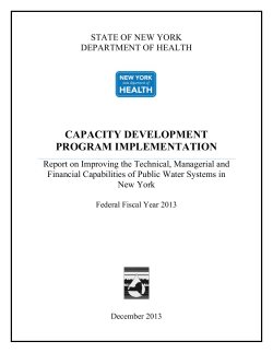 2013 Capacity Development Program Implementation Report