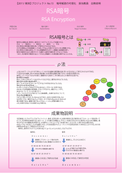 poster13_RSA.pdf
